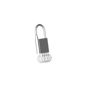 Sleutelhanger met 4 ringen