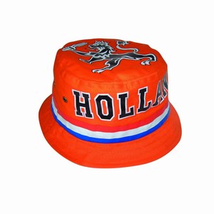 Holland Bobhat