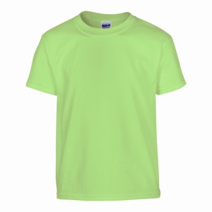 Gildan 5000B kinder T-shirt mint green