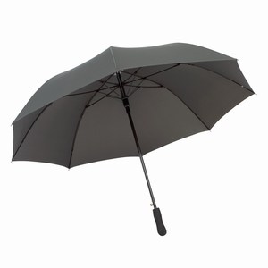 Automatisch te openen windproof paraplu Passat, grijs
