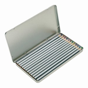 Metalen doos met 12 zilverkleurige geslepen kleurpotloden, zilver